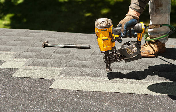 Best Roof Gutter Cleaning  in Picayune, MS